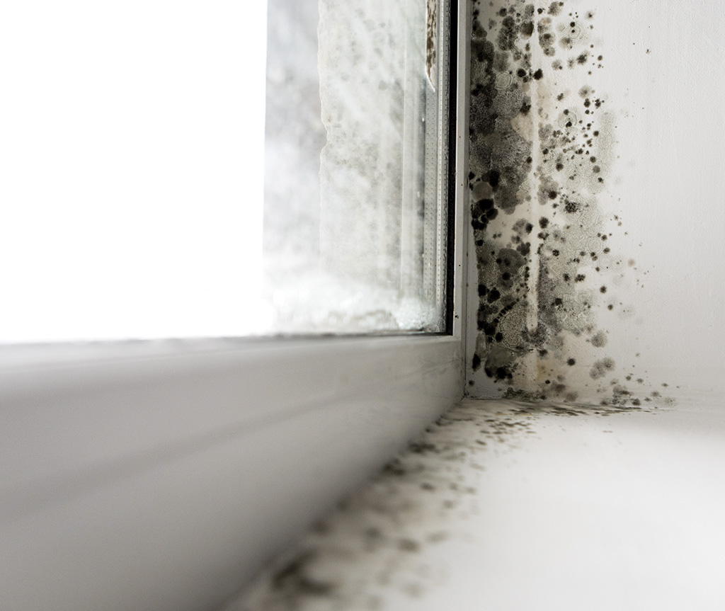 Ventilation positive Indian R contre la condensation