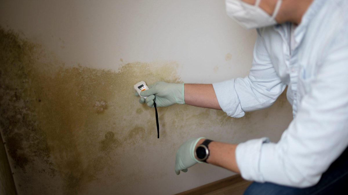 Técnico midiendo la humedad de una pared con un medidor