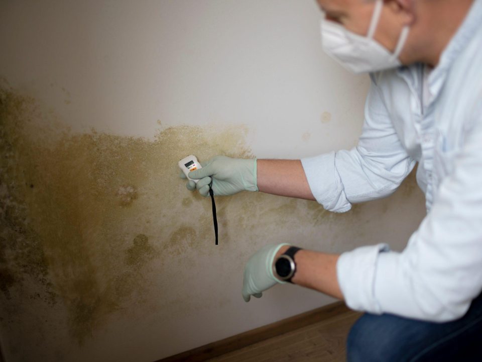 Técnico midiendo la humedad de una pared con un medidor