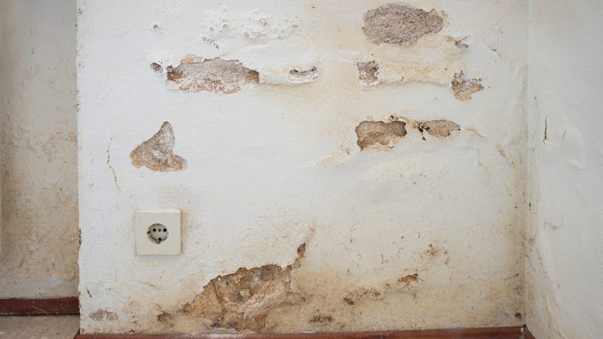 Revoco que se desprende por la humedad en la parte baja de una pared